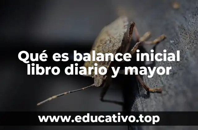 Qué es balance inicial libro diario y mayor