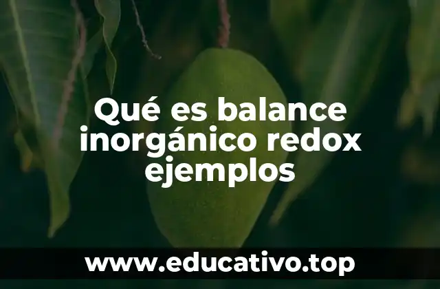 Qué es balance inorgánico redox ejemplos