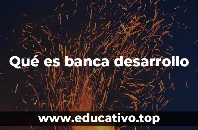 Qué es banca desarrollo