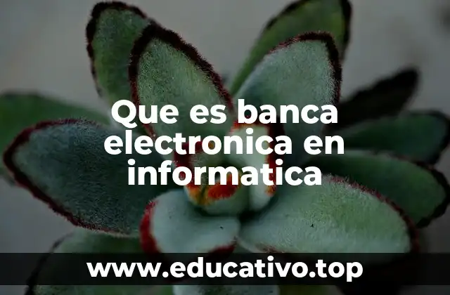 Que es banca electronica en informatica