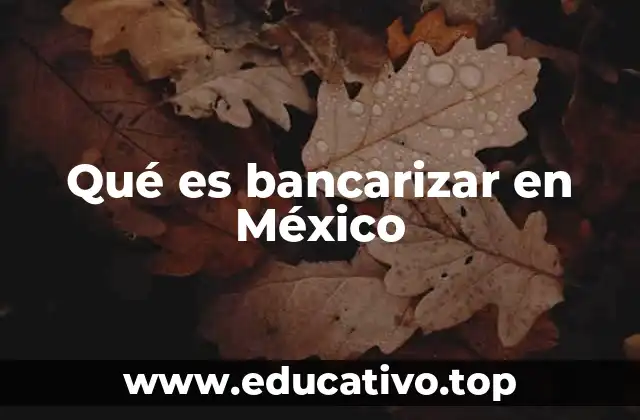 Qué es bancarizar en México