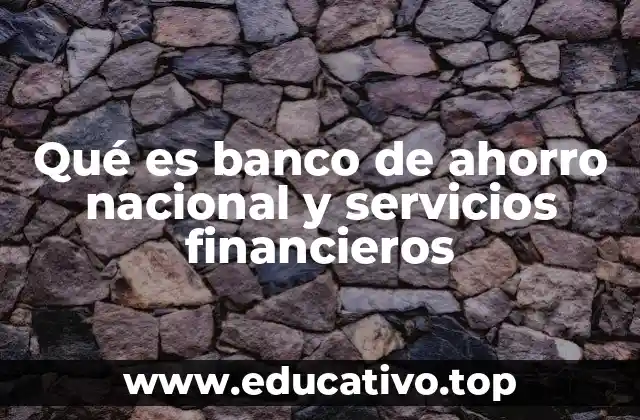Qué es banco de ahorro nacional y servicios financieros