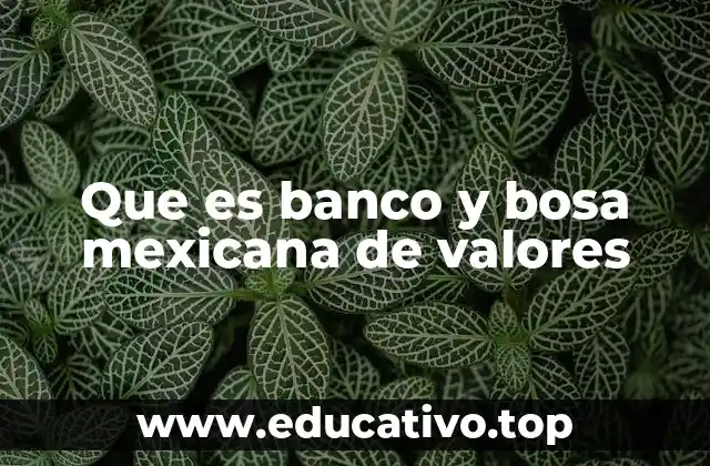 Que es banco y bosa mexicana de valores