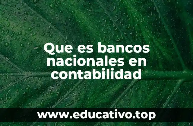 Que es bancos nacionales en contabilidad