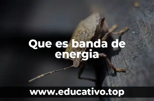 Que es banda de energia