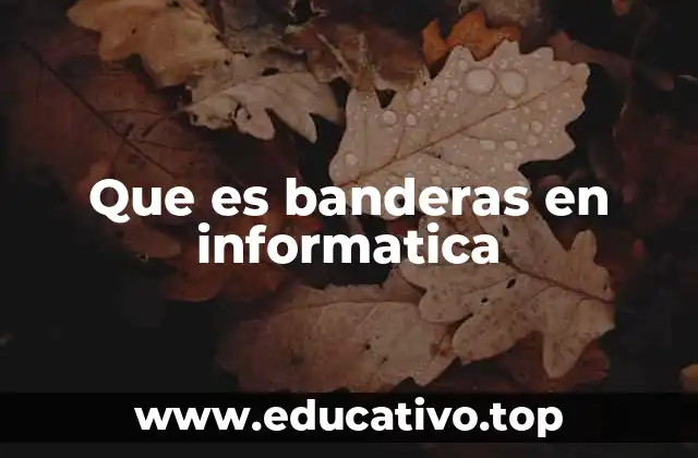 Que es banderas en informatica