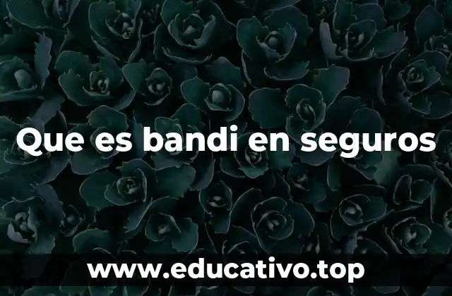Que es bandi en seguros
