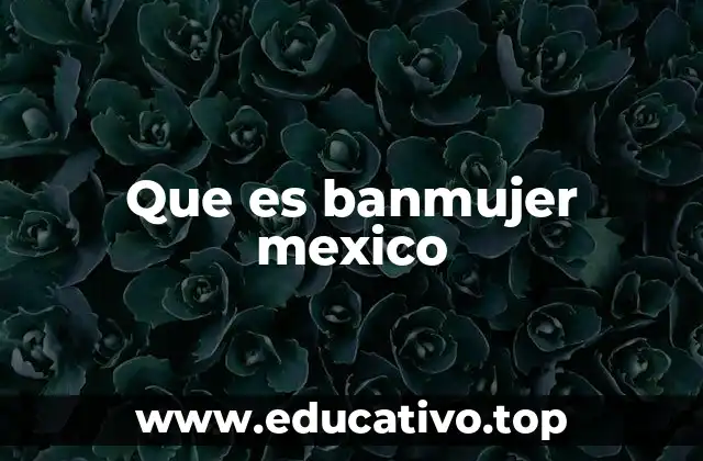 Que es banmujer mexico