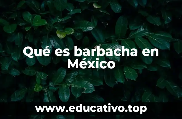 Qué es barbacha en México