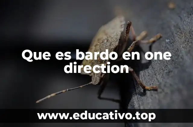 Que es bardo en one direction