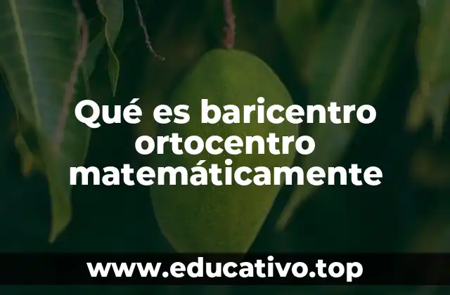 Qué es baricentro ortocentro matemáticamente