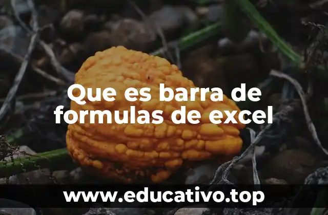 Que es barra de formulas de excel