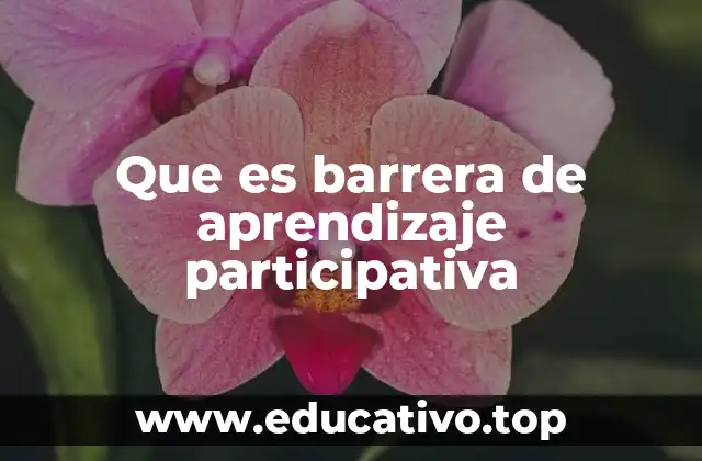 Que es barrera de aprendizaje participativa