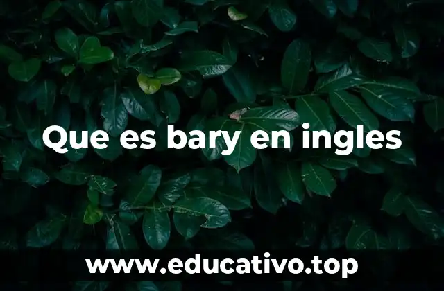 Que es bary en ingles