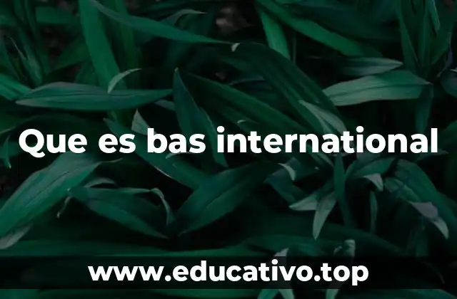 Que es bas international