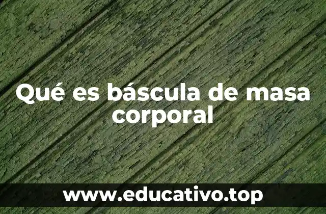 Qué es báscula de masa corporal