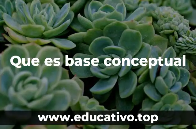 Que es base conceptual