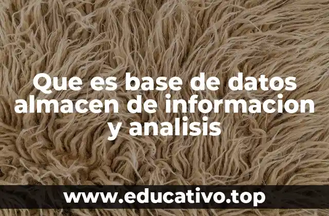 Que es base de datos almacen de informacion y analisis