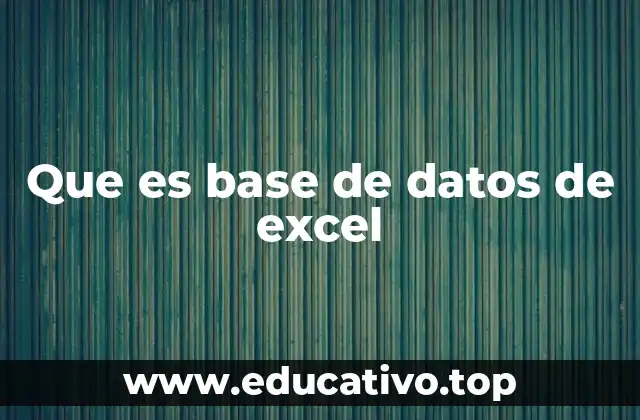 Cómo organizar una base de datos en Excel