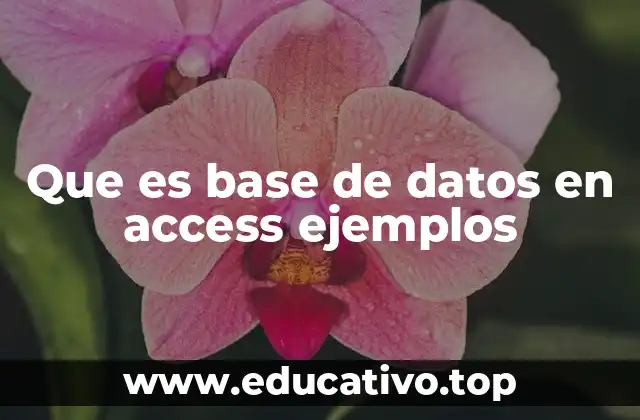 Cómo funciona una base de datos en Access sin mencionar la palabra clave