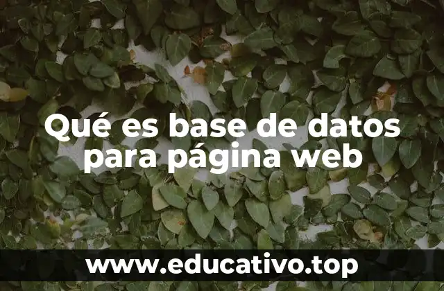 Qué es base de datos para página web