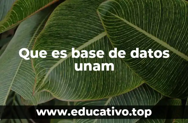 Que es base de datos unam