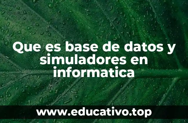Que es base de datos y simuladores en informatica