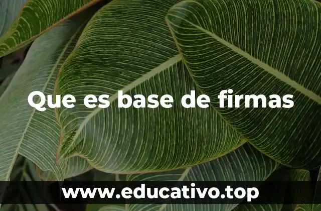 Que es base de firmas