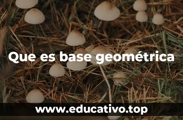 Que es base geométrica