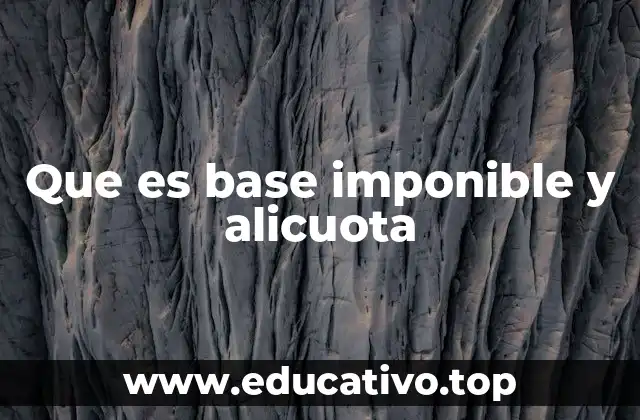 Que es base imponible y alicuota