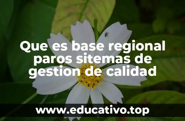Que es base regional paros sitemas de gestion de calidad