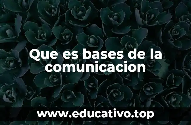 Que es bases de la comunicacion