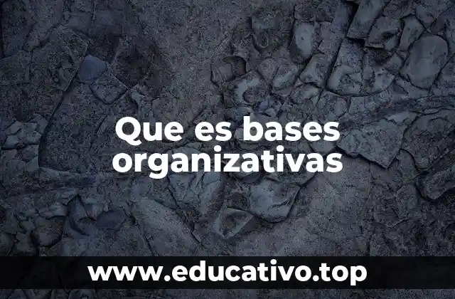Que es bases organizativas