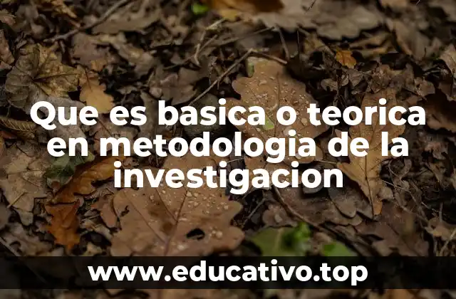 Que es basica o teorica en metodologia de la investigacion