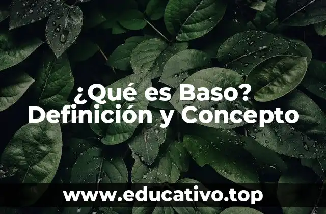 ¿Qué es Baso? Definición y Concepto