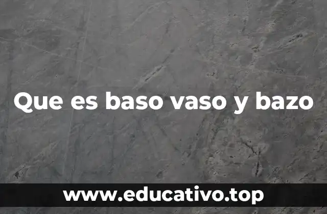 Que es baso vaso y bazo