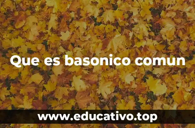 Que es basonico comun