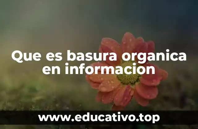 Que es basura organica en informacion