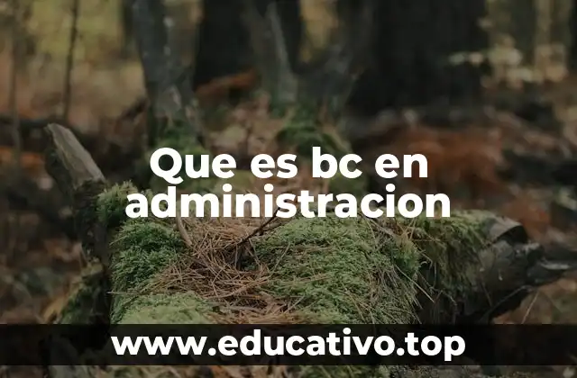 Que es bc en administracion