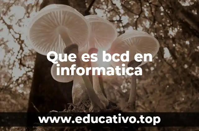 Que es bcd en informatica