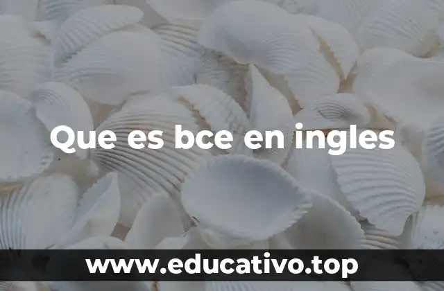 Que es bce en ingles
