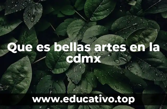 Que es bellas artes en la cdmx