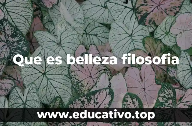 Que es belleza filosofia