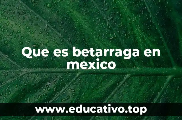La importancia de la betarraga en la gastronomía mexicana