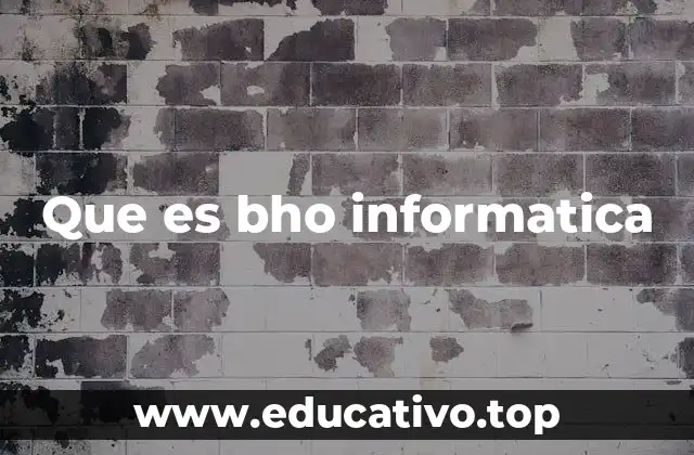 Que es bho informatica
