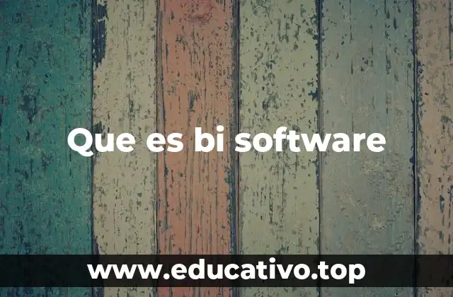 Que es bi software
