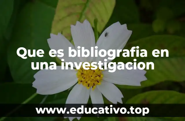 Que es bibliografia en una investigacion