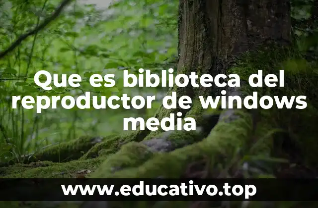 Que es biblioteca del reproductor de windows media