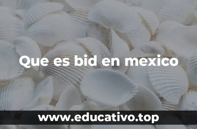 Que es bid en mexico