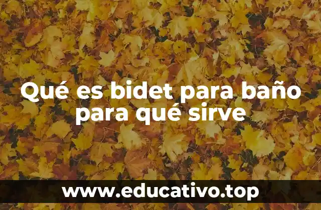 Qué es bidet para baño para qué sirve
